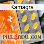Kamagra new05